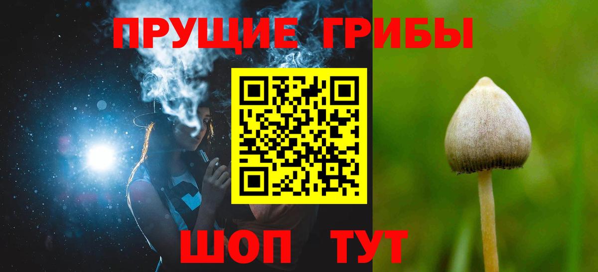 Псилоцибиновые грибы мухоморы Сосновоборск